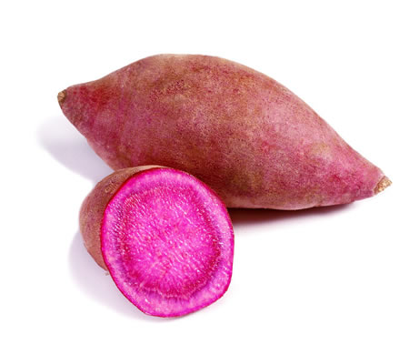 薯類烘干機-河南中森智能